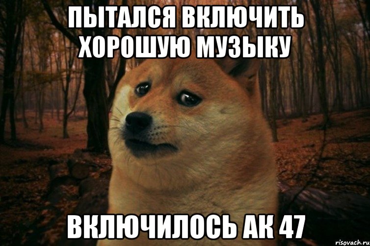 пытался включить хорошую музыку включилось ак 47, Мем SAD DOGE