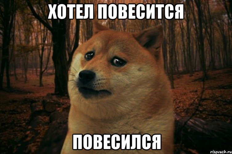 хотел повесится повесился, Мем SAD DOGE