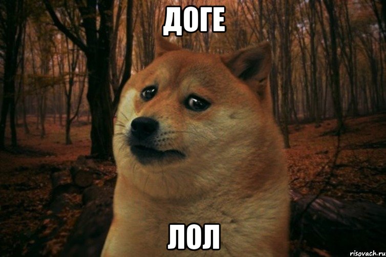 ДОГЕ ЛОЛ, Мем SAD DOGE