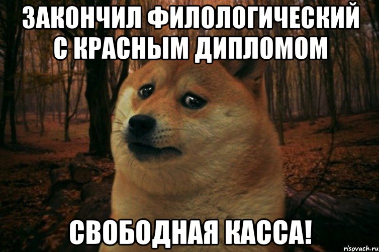 закончил филологический с красным дипломом свободная касса!, Мем SAD DOGE