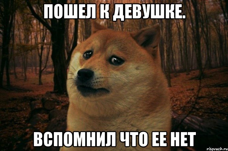 Пошел к девушке. Вспомнил что ее нет, Мем SAD DOGE