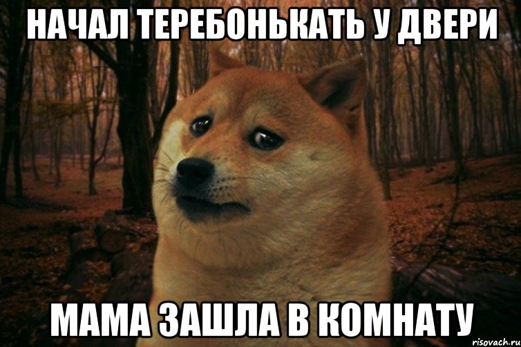 Начал теребонькать у двери МАМА ЗАШЛА В КОМНАТУ, Мем SAD DOGE