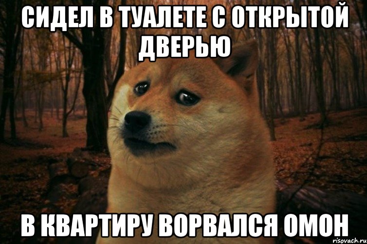 сидел в туалете с открытой дверью в квартиру ворвался омон, Мем SAD DOGE