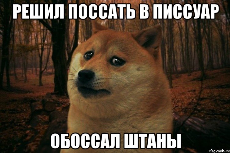 решил поссать в писсуар обоссал штаны, Мем SAD DOGE