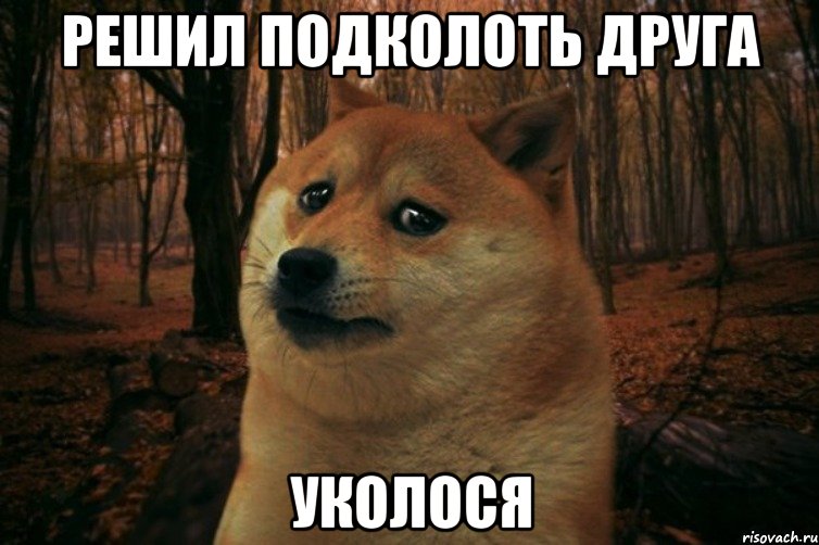 решил подколоть друга уколося, Мем SAD DOGE