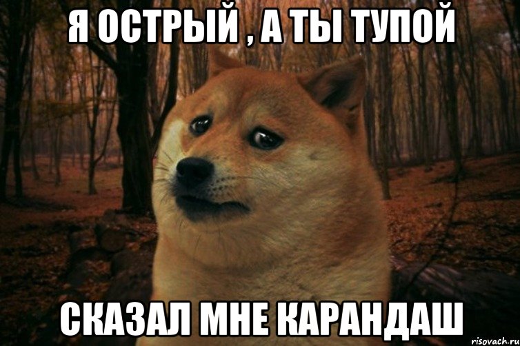 Я острый , а ты тупой Сказал мне карандаш, Мем SAD DOGE