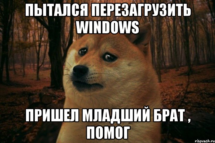 Пытался перезагрузить Windows Пришел младший брат , помог, Мем SAD DOGE