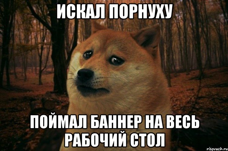 ИСКАЛ ПОРНУХУ ПОЙМАЛ БАННЕР НА ВЕСЬ РАБОЧИЙ СТОЛ, Мем SAD DOGE