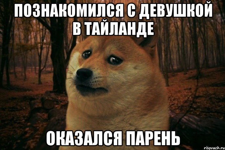 ПОЗНАКОМИЛСЯ С ДЕВУШКОЙ В ТАЙЛАНДЕ ОКАЗАЛСЯ ПАРЕНЬ, Мем SAD DOGE