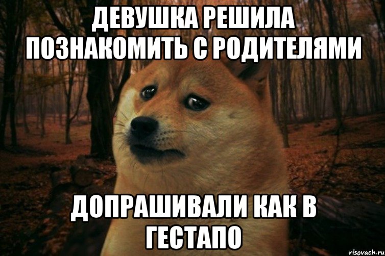 ДЕВУШКА РЕШИЛА ПОЗНАКОМИТЬ С РОДИТЕЛЯМИ ДОПРАШИВАЛИ КАК В ГЕСТАПО, Мем SAD DOGE