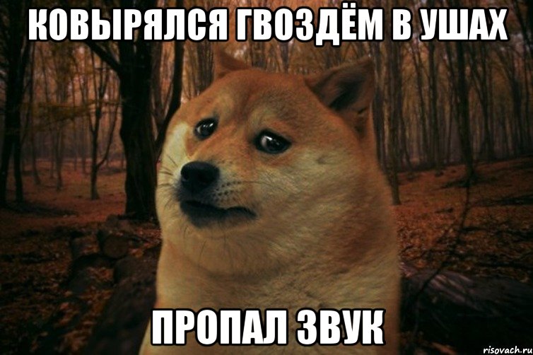 КОВЫРЯЛСЯ ГВОЗДЁМ В УШАХ ПРОПАЛ ЗВУК, Мем SAD DOGE