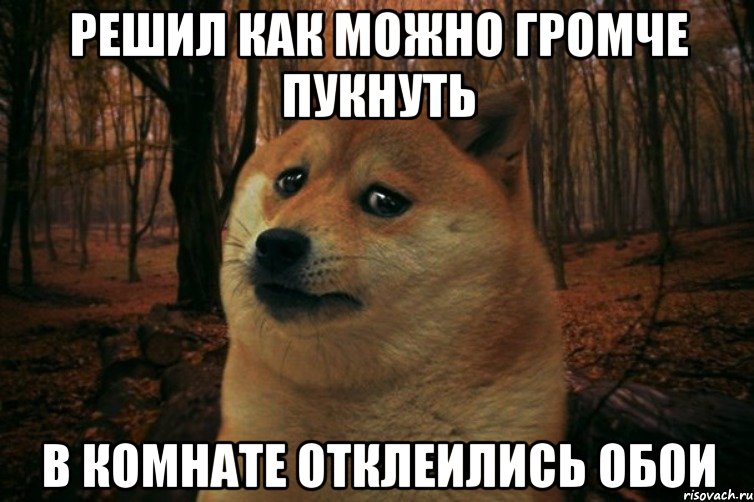 РЕШИЛ КАК МОЖНО ГРОМЧЕ ПУКНУТЬ В КОМНАТЕ ОТКЛЕИЛИСЬ ОБОИ, Мем SAD DOGE