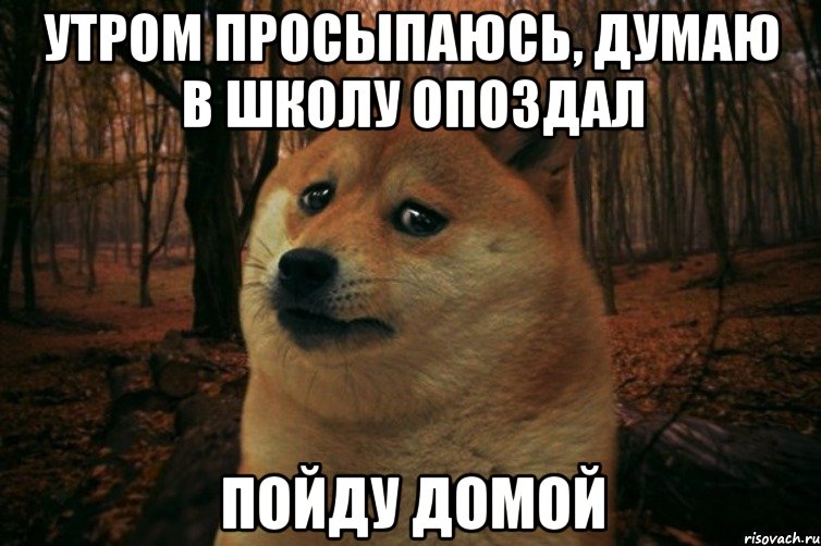 Утром просыпаюсь, думаю в школу опоздал Пойду домой, Мем SAD DOGE