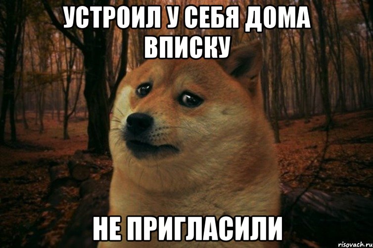 устроил у себя дома вписку не пригласили, Мем SAD DOGE