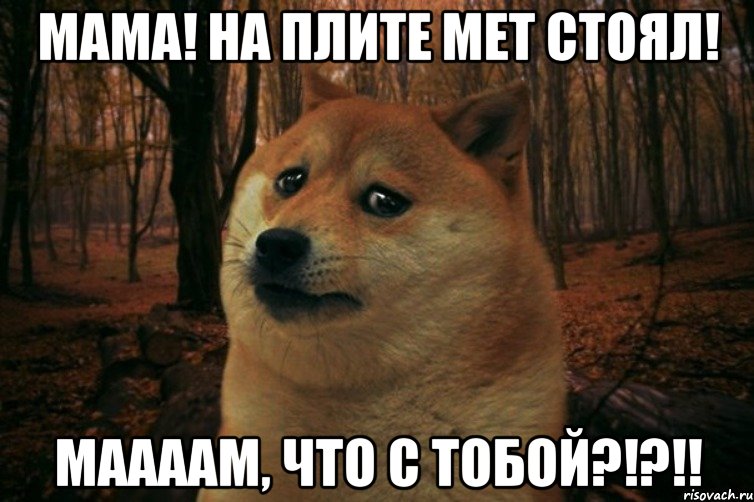 Мама! На плите МЕТ стоял! МААААМ, что с тобой?!?!!, Мем SAD DOGE