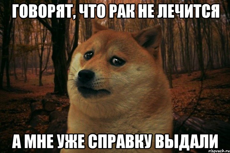 Говорят, что рак не лечится А мне уже справку выдали, Мем SAD DOGE