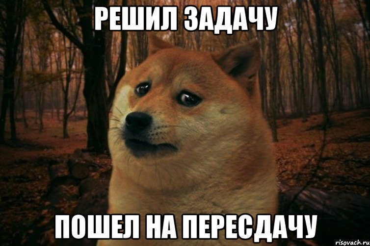 Решил задачу Пошел на пересдачу, Мем SAD DOGE