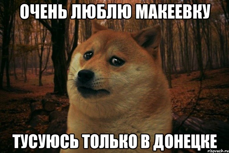 Очень люблю Макеевку тусуюсь только в Донецке, Мем SAD DOGE