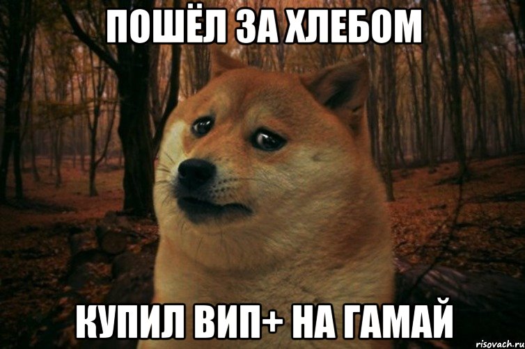 Пошёл за хлебом Купил вип+ на Гамай, Мем SAD DOGE