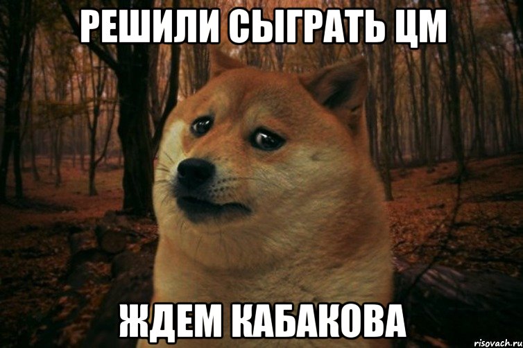 Решили сыграть Цм Ждем Кабакова, Мем SAD DOGE