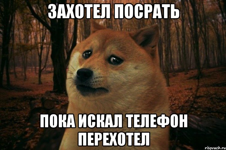 Захотел посрать Пока искал телефон перехотел, Мем SAD DOGE