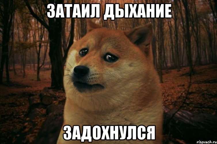 затаил дыхание задохнулся, Мем SAD DOGE