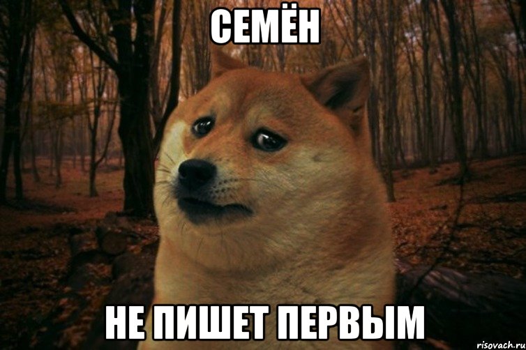 Семён не пишет первым, Мем SAD DOGE