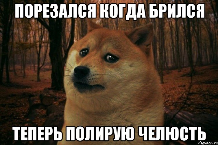 Порезался когда брился теперь полирую челюсть, Мем SAD DOGE