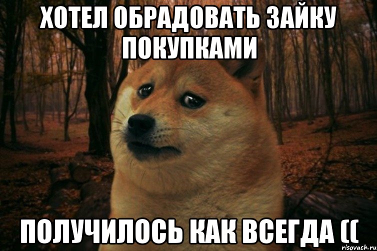 Хотел обрадовать зайку покупками Получилось как всегда ((, Мем SAD DOGE