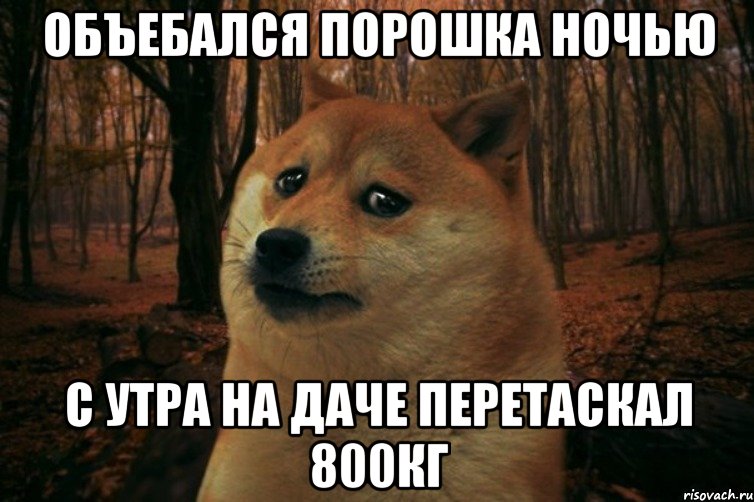 Объебался порошка ночью с утра на даче перетаскал 800кг, Мем SAD DOGE