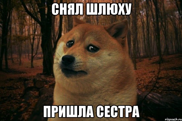 Снял шлюху Пришла сестра, Мем SAD DOGE