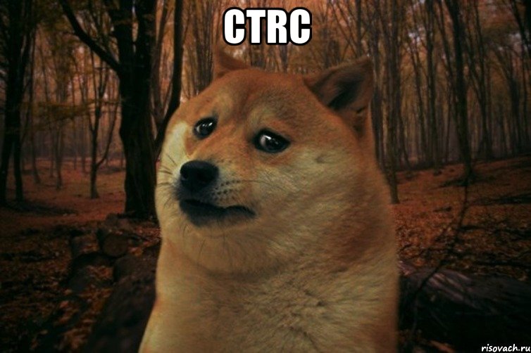 ctrc , Мем SAD DOGE