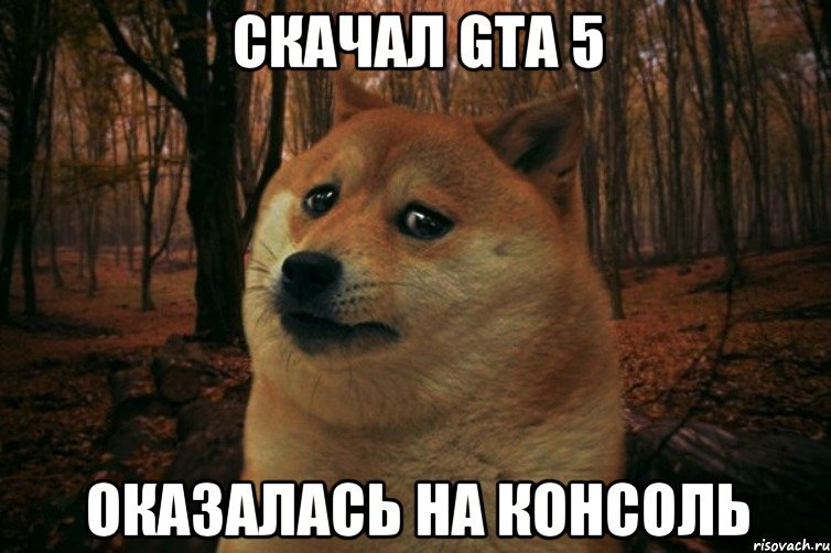 Скачал GTA 5 оказалась на консоль, Мем SAD DOGE