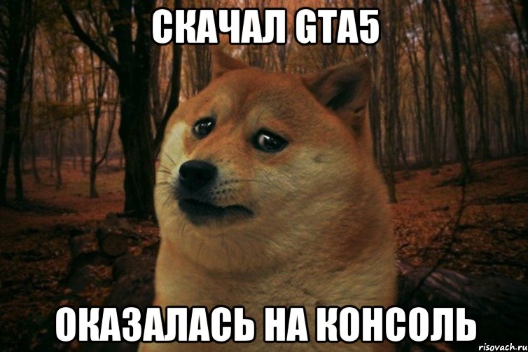 скачал GTA5 оказалась на консоль, Мем SAD DOGE