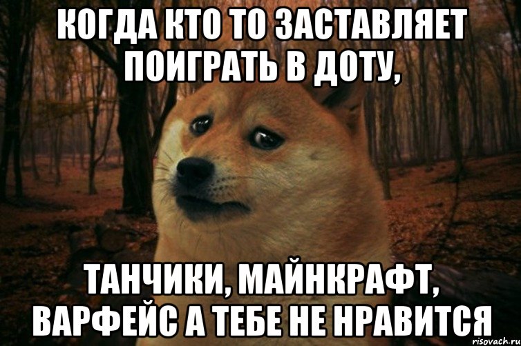 когда кто то заставляет поиграть в доту, танчики, майнкрафт, варфейс а тебе не нравится, Мем SAD DOGE