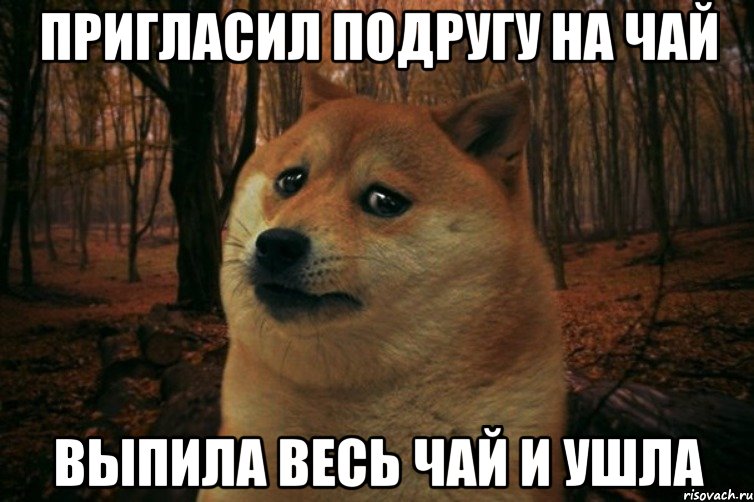 Пригласил подругу на чай Выпила весь чай и ушла, Мем SAD DOGE