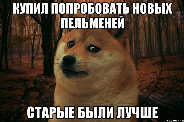 купил попробовать новых пельменей старые были лучше, Мем SAD DOGE