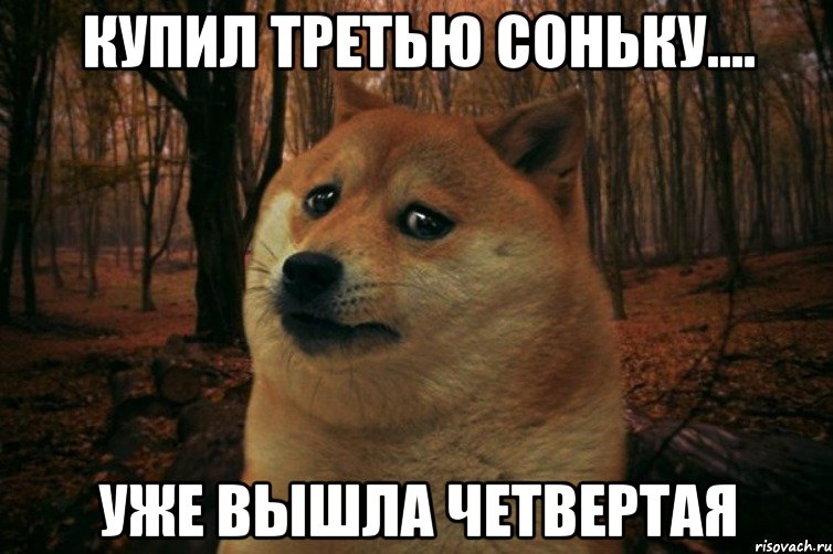 купил третью соньку.... уже вышла четвертая, Мем SAD DOGE