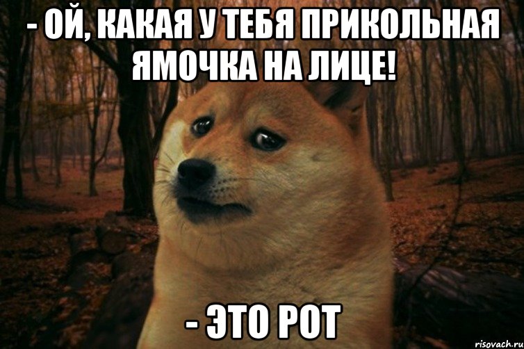 - Ой, какая у тебя прикольная ямочка на лице! - Это рот, Мем SAD DOGE