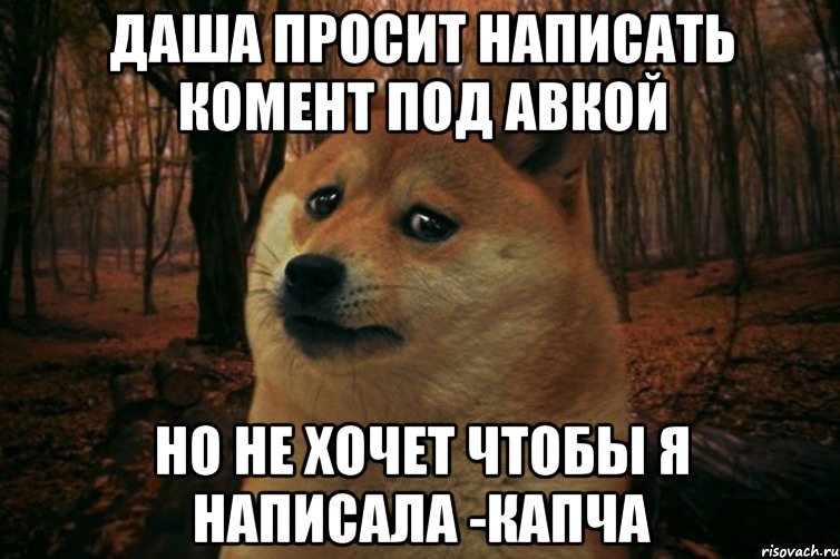 Даша просит написать комент под авкой но не хочет чтобы я написала -капча, Мем SAD DOGE