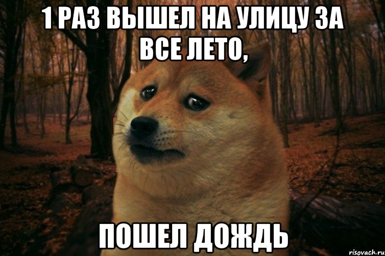 1 раз вышел на улицу за все лето, пошел дождь, Мем SAD DOGE