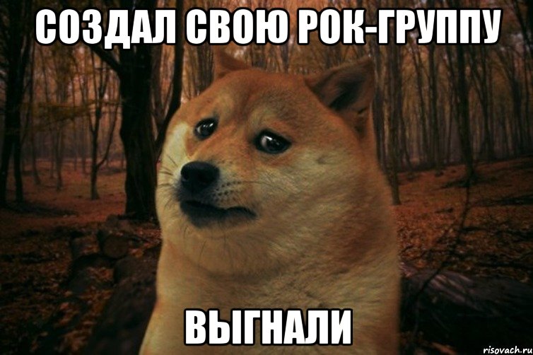 СОЗДАЛ СВОЮ РОК-ГРУППУ ВЫГНАЛИ, Мем SAD DOGE