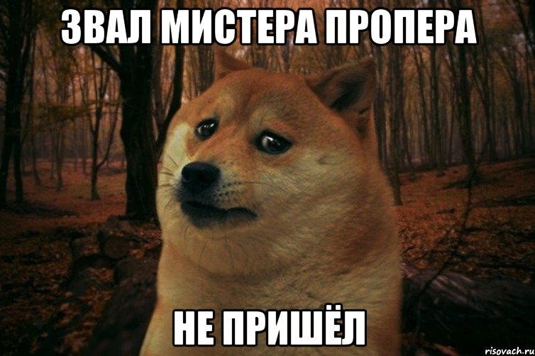 ЗВАЛ МИСТЕРА ПРОПЕРА НЕ ПРИШЁЛ, Мем SAD DOGE