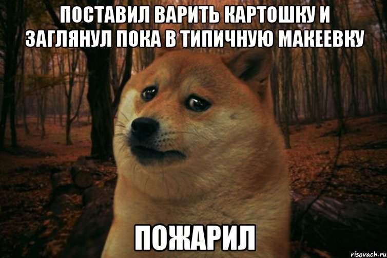 Поставил варить картошку и заглянул пока в ТИПИЧНУЮ МАКЕЕВКУ пожарил, Мем SAD DOGE