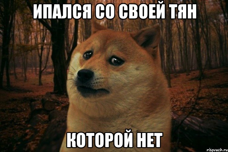 Ипался со своей тян которой нет, Мем SAD DOGE