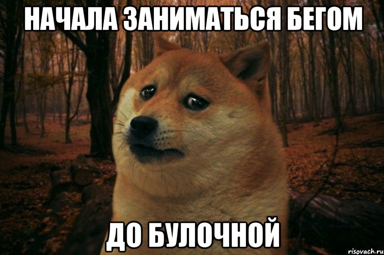 Начала заниматься бегом до булочной, Мем SAD DOGE