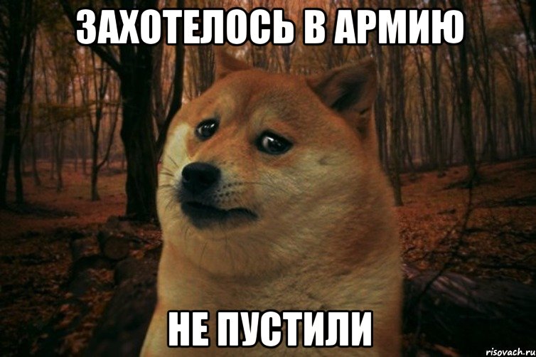 ЗАХОТЕЛОСЬ В АРМИЮ НЕ ПУСТИЛИ, Мем SAD DOGE