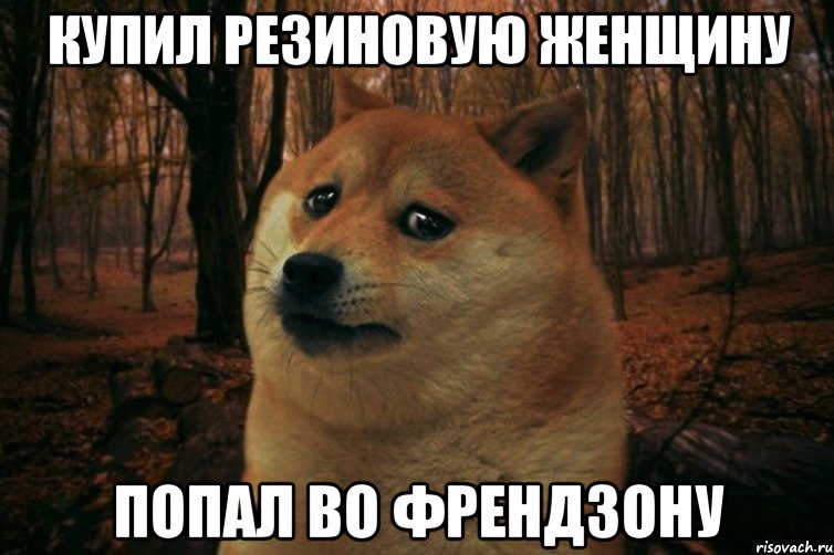 купил резиновую женщину попал во френдзону, Мем SAD DOGE