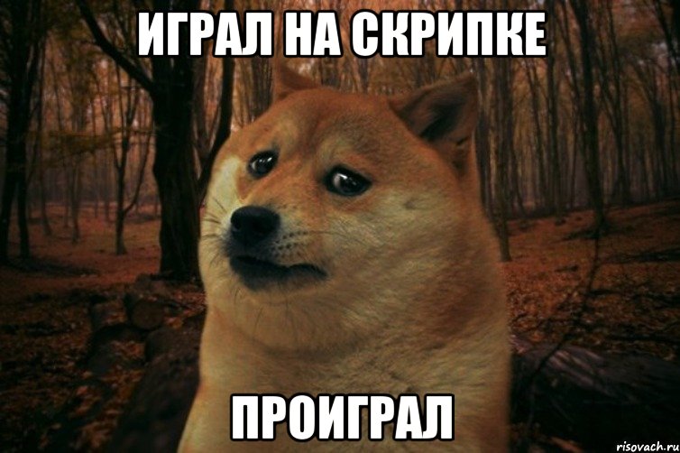 ИГРАЛ НА СКРИПКЕ ПРОИГРАЛ, Мем SAD DOGE