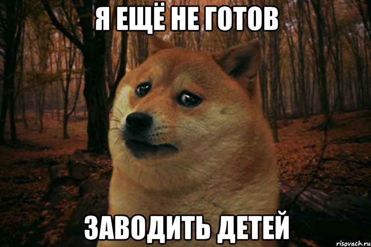 я ещё не готов заводить детей, Мем SAD DOGE